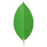 MongoDB